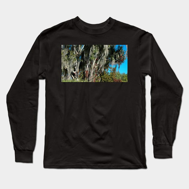 Fall into Central Florida Long Sleeve T-Shirt by EileenMcVey